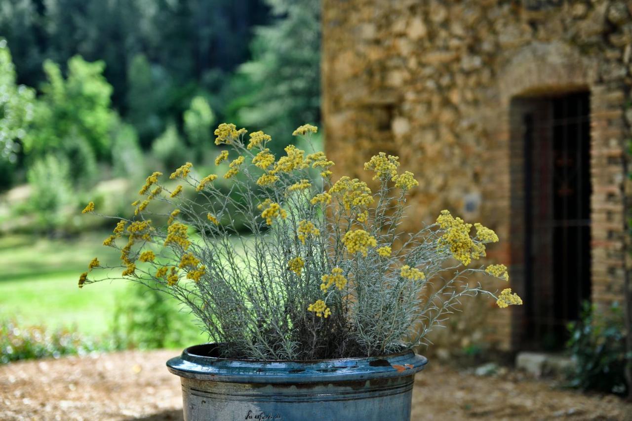 Les Jardins De Falguiere Saint-Jean-du-Gard Bagian luar foto