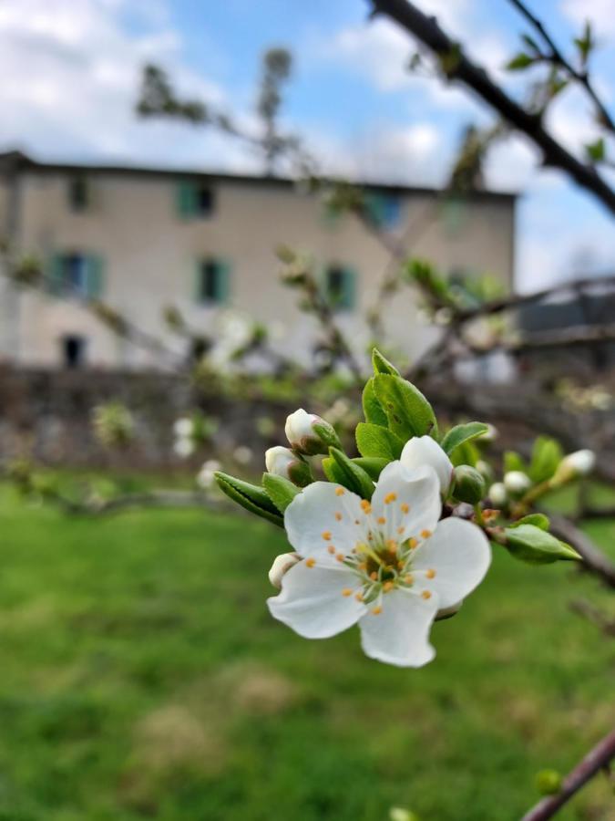 Les Jardins De Falguiere Saint-Jean-du-Gard Bagian luar foto