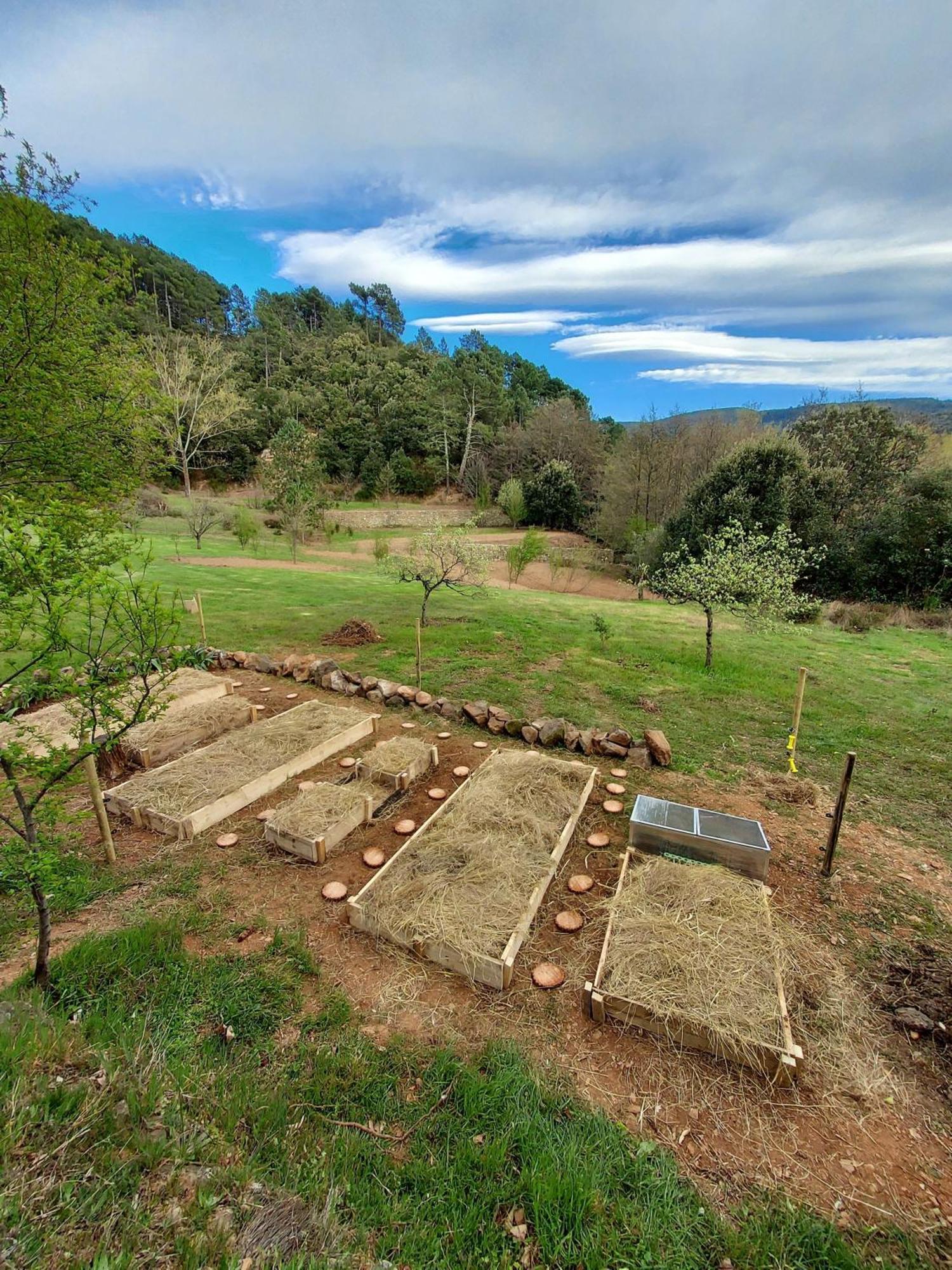 Les Jardins De Falguiere Saint-Jean-du-Gard Bagian luar foto