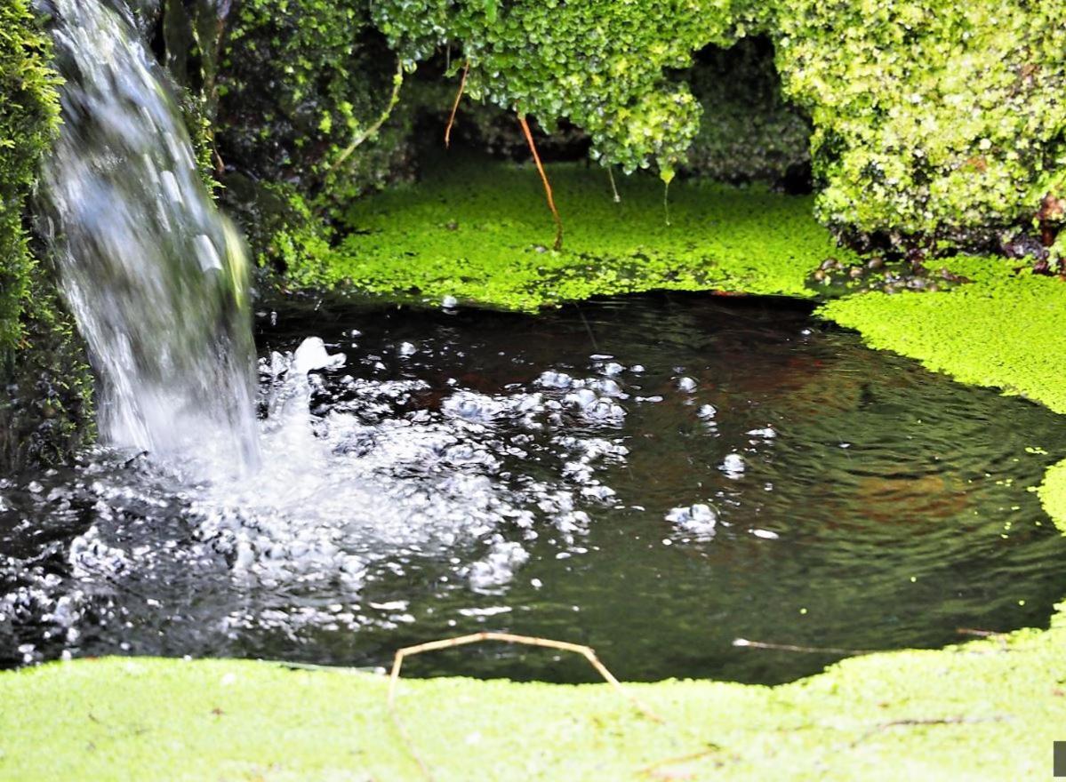 Les Jardins De Falguiere Saint-Jean-du-Gard Bagian luar foto